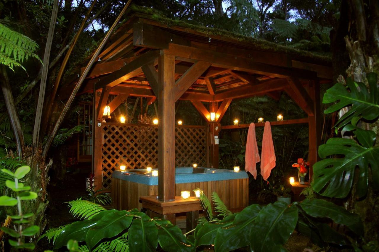 Volcano Rainforest Retreat Bed & Breakfast Exterior photo